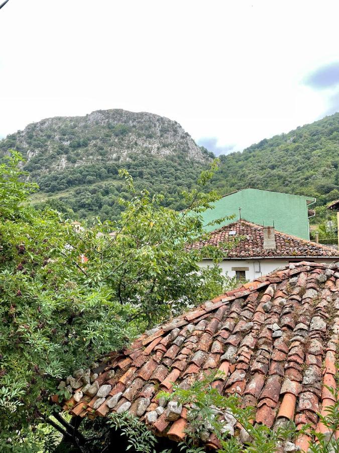 Piso San Andres - Picos De Europa Apartman Carrena de Cabrales Kültér fotó